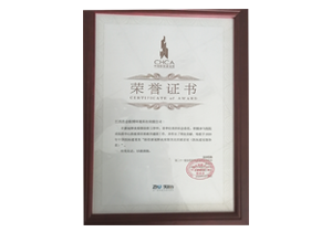 中國醫(yī)院建設(shè)獎