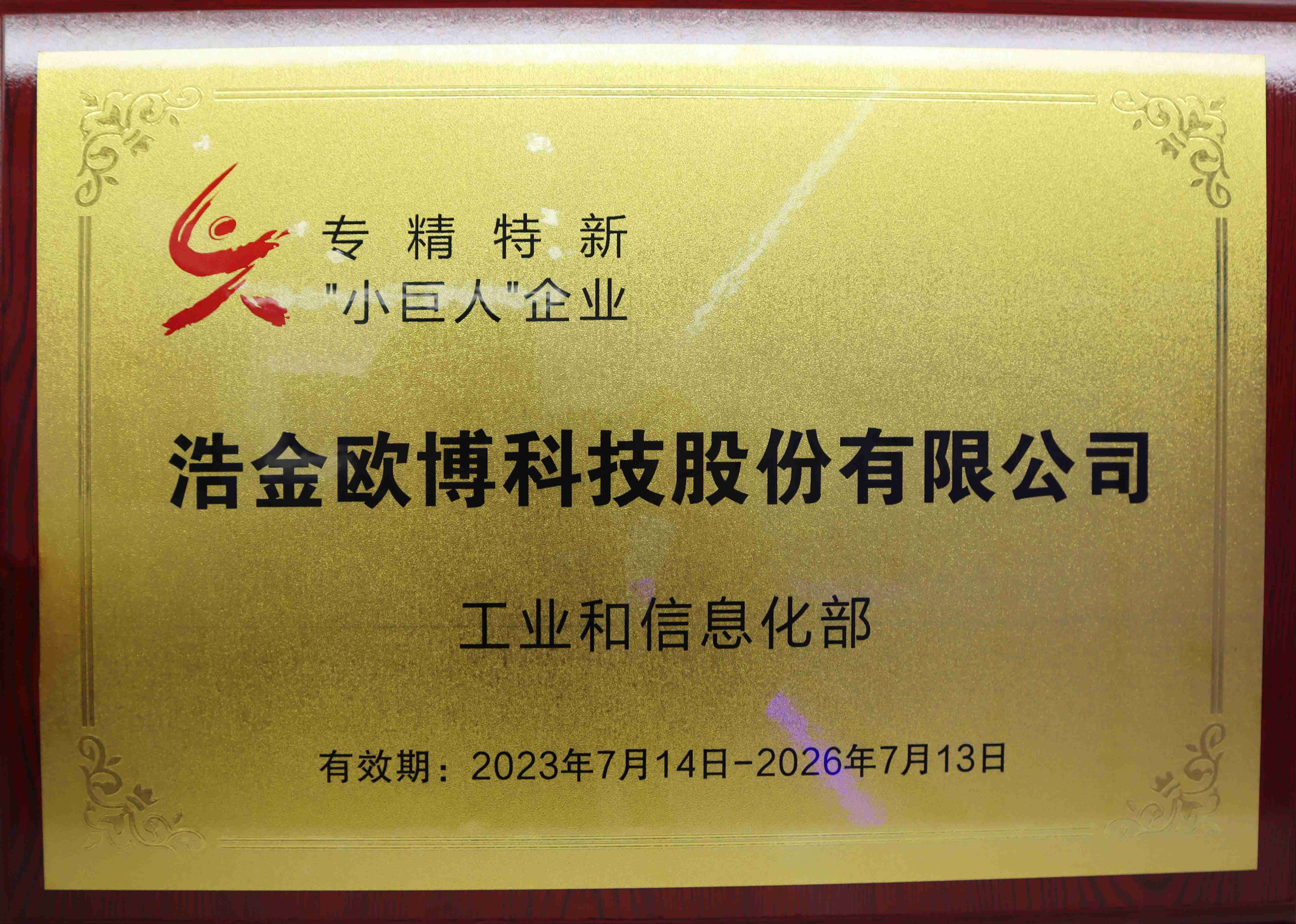 專精特新小巨人企業(yè)