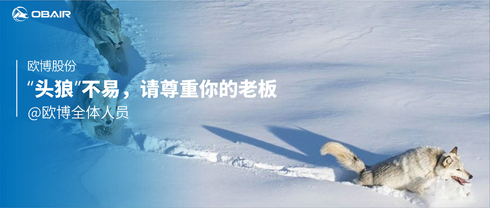 “頭狼”不易，請尊重你的老板